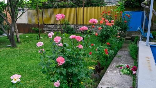 Outdoor Pictures 20