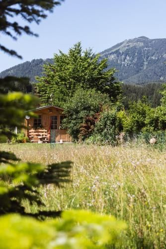 Outdoor Pictures 9