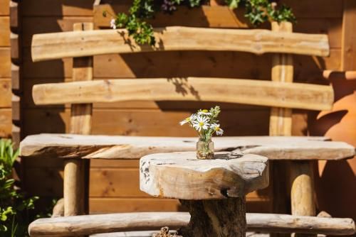 Outdoor Pictures 15