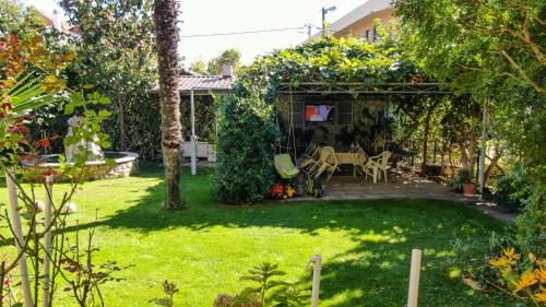 Outdoor Pictures 15