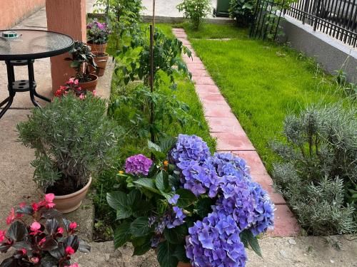 Outdoor Pictures 11