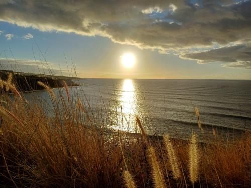 Outdoor Pictures 24