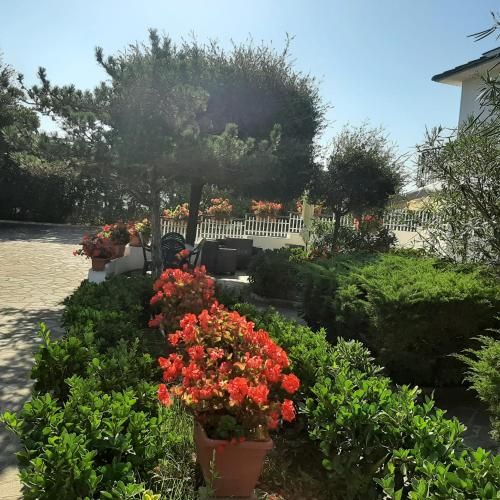 Outdoor Pictures 7