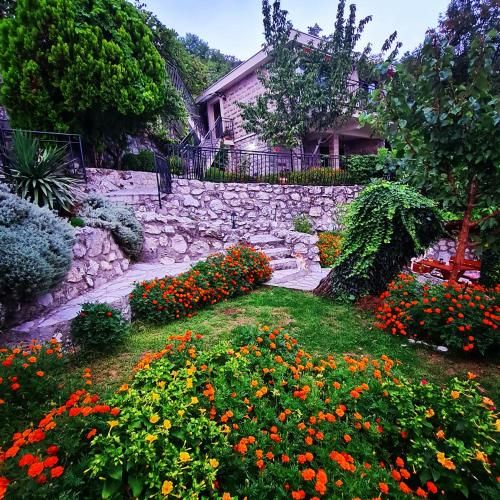 Outdoor Pictures 3