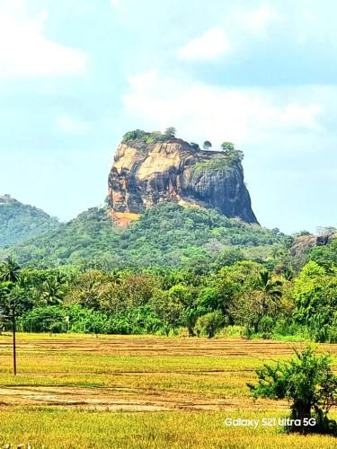 Panoramic Rock View Villa