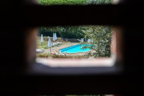 Outdoor Pictures 24