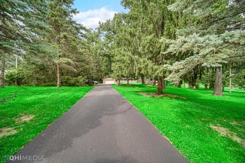Outdoor Pictures 19