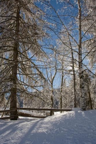 Outdoor Pictures 9