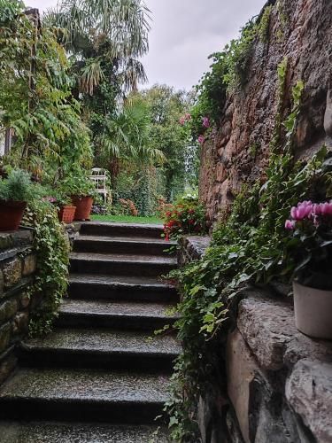 Outdoor Pictures 9