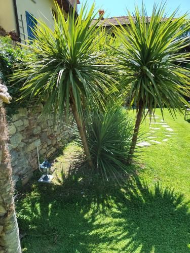 Outdoor Pictures 10