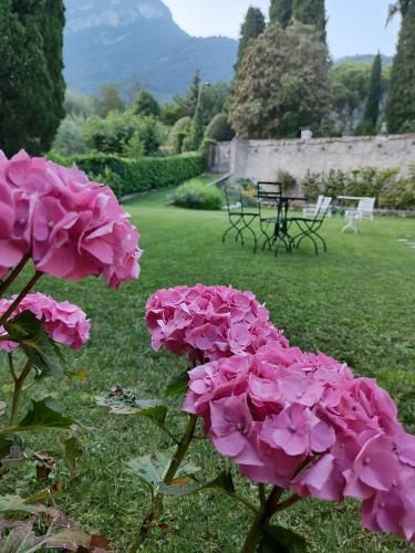 Outdoor Pictures 15