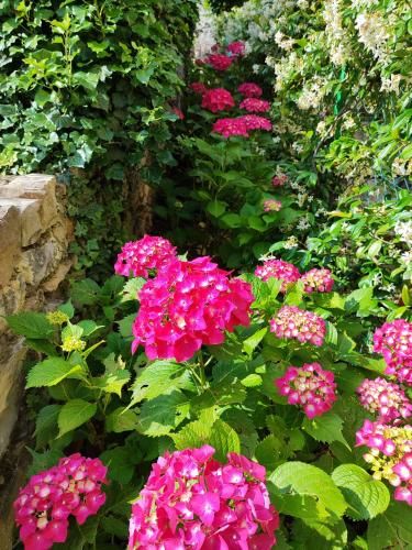 Outdoor Pictures 19