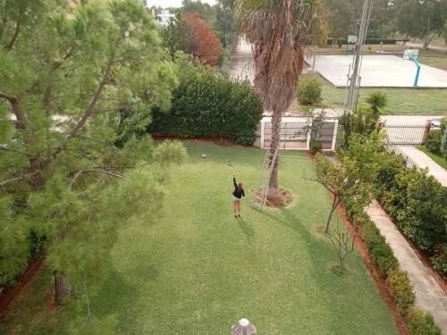 Outdoor Pictures 6
