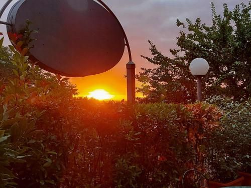 Outdoor Pictures 7