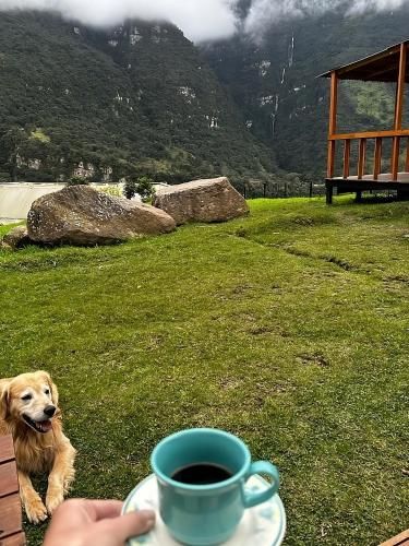 Outdoor Pictures 21