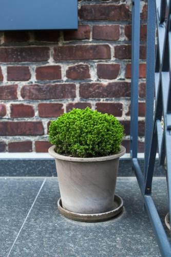 Outdoor Pictures 24