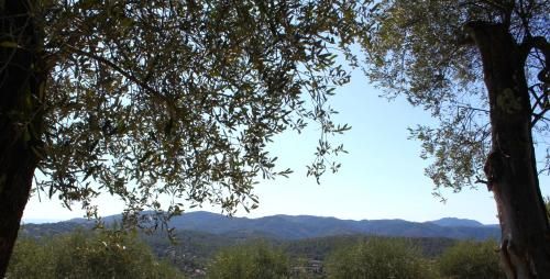 Outdoor Pictures 7