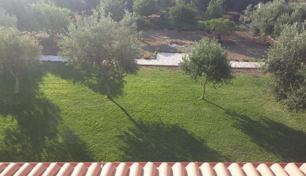 Outdoor Pictures 3