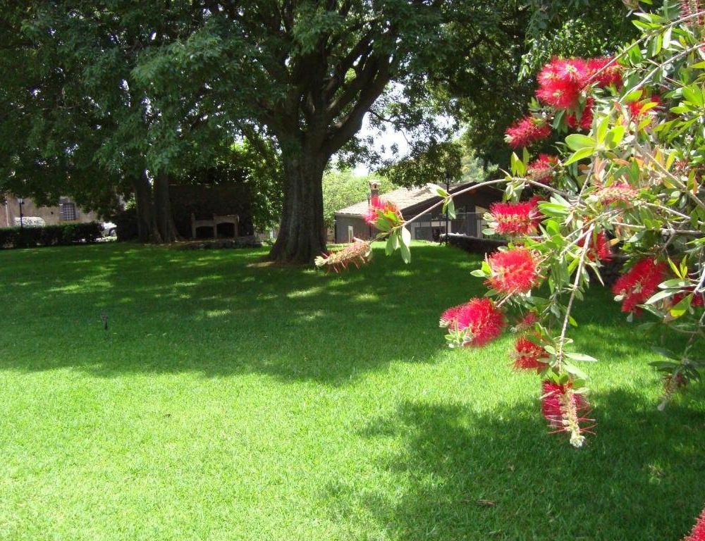 Outdoor Pictures 2