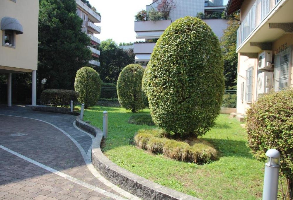 Outdoor Pictures 7