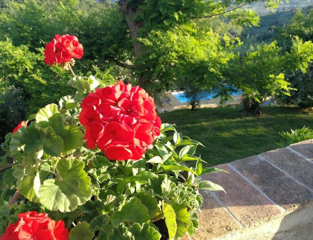 Outdoor Pictures 1
