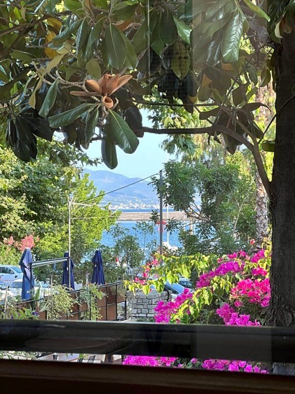 Outdoor Pictures 17