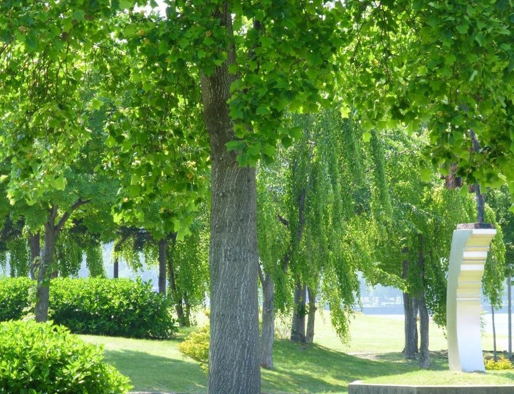 Outdoor Pictures 3
