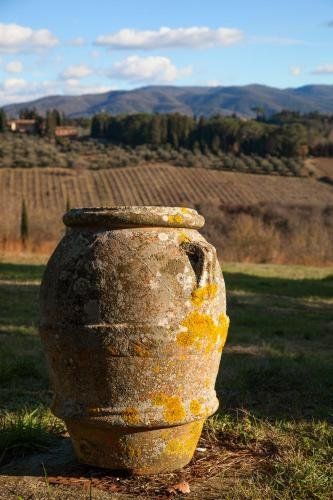 Outdoor Pictures 7