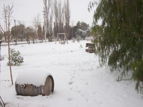 Outdoor Pictures 17