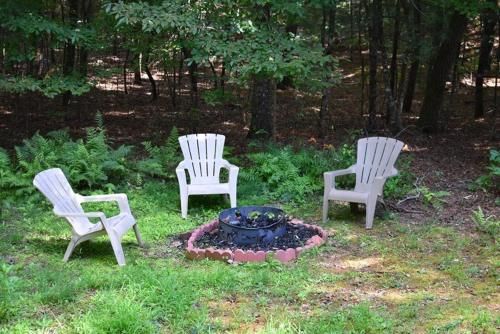 Outdoor Pictures 2