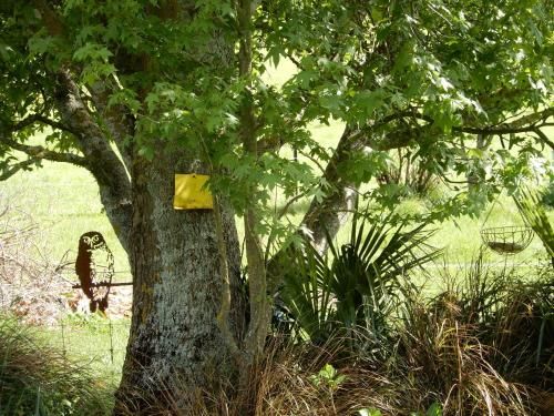 Outdoor Pictures 15