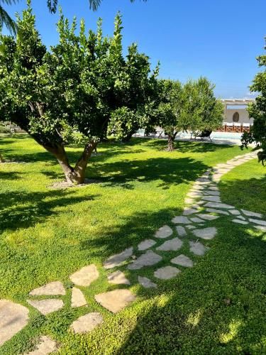 Outdoor Pictures 24