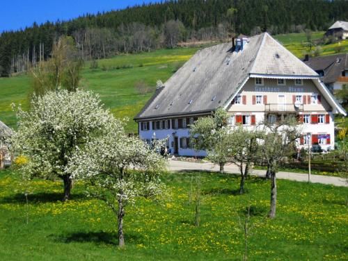 Ferienwohnung Schwarzwald-Alpenblick