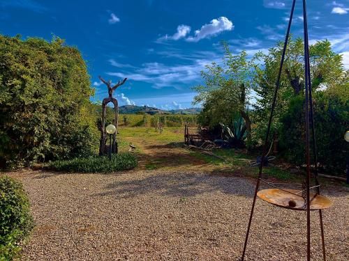 Outdoor Pictures 24