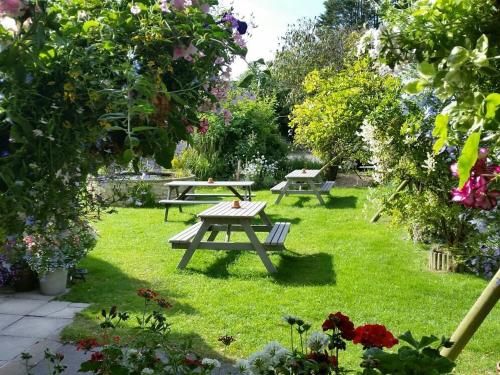 Outdoor Pictures 9