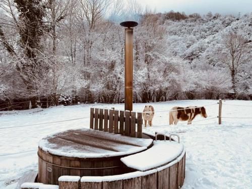 Outdoor Pictures 17