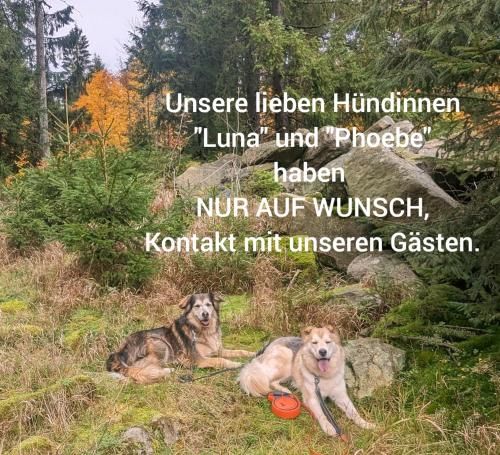 Komfortable 65 qm FeWo im Landhaus "Kühler Morgen" in Alleinlage, mit Garten, Baby- und Kinderausstattung