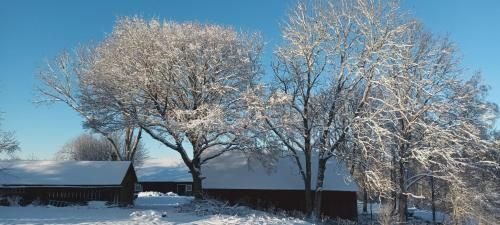 Outdoor Pictures 15