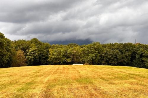 Outdoor Pictures 22