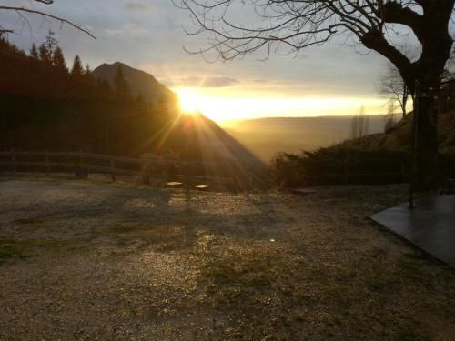 Outdoor Pictures 4