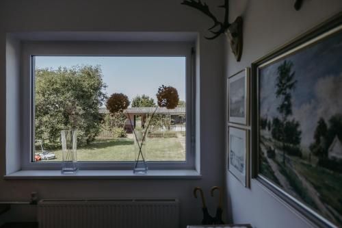 Outdoor Pictures 7