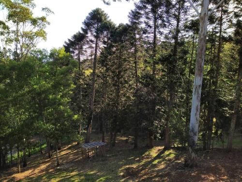 Outdoor Pictures 4