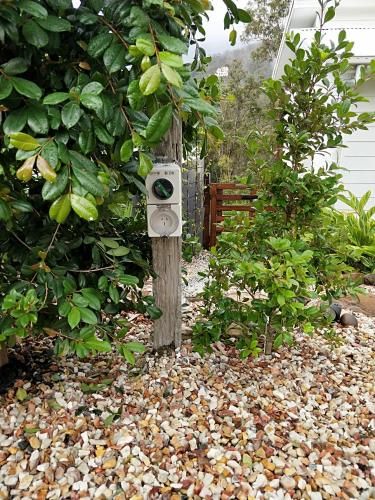 Outdoor Pictures 17