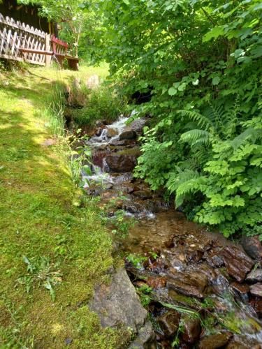 Outdoor Pictures 15