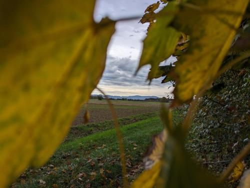 Outdoor Pictures 24