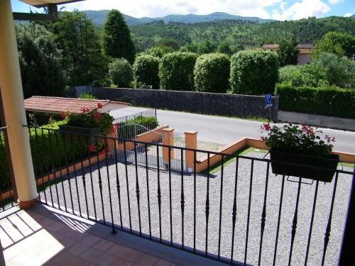 Outdoor Pictures 9