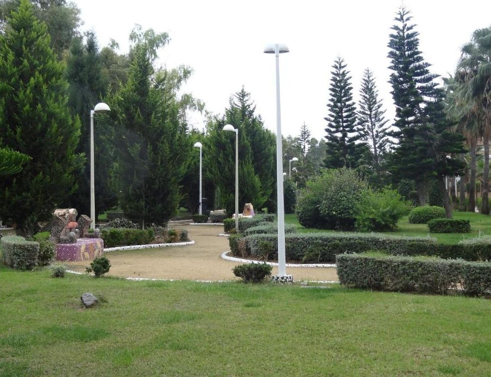 Outdoor Pictures 4