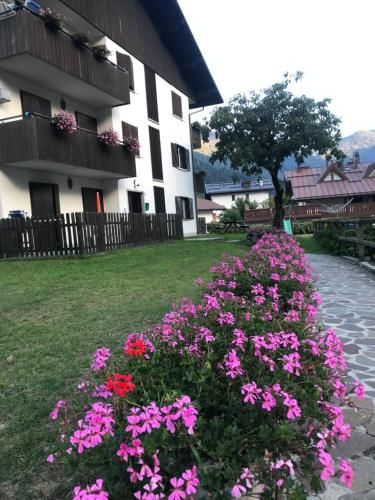 Outdoor Pictures 1