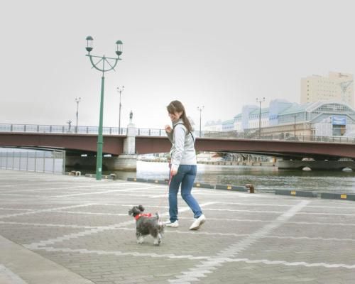 Outdoor Pictures 5