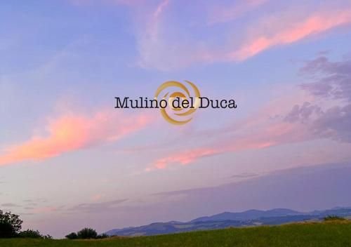 Outdoor Pictures 20